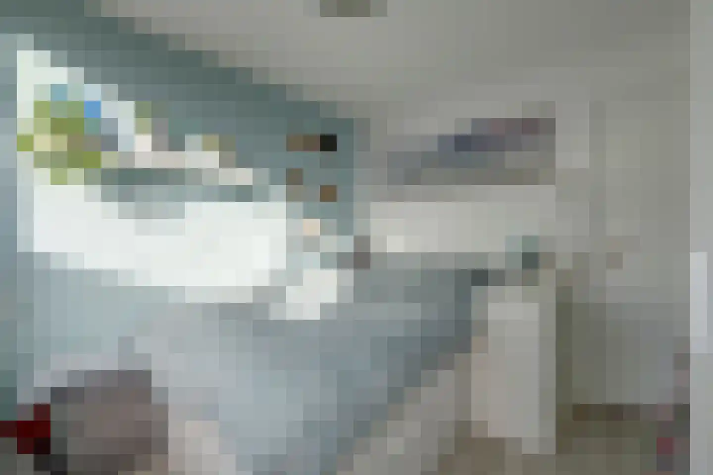 Frankensteyn 5 Hendrik-Ido-Ambacht thumbnail 26