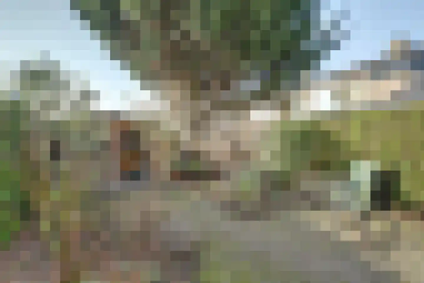 Frankensteyn 5 Hendrik-Ido-Ambacht thumbnail 38