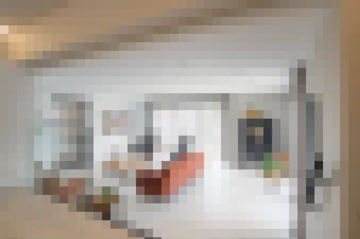 Frankenstraat 11 Stein thumbnail 11