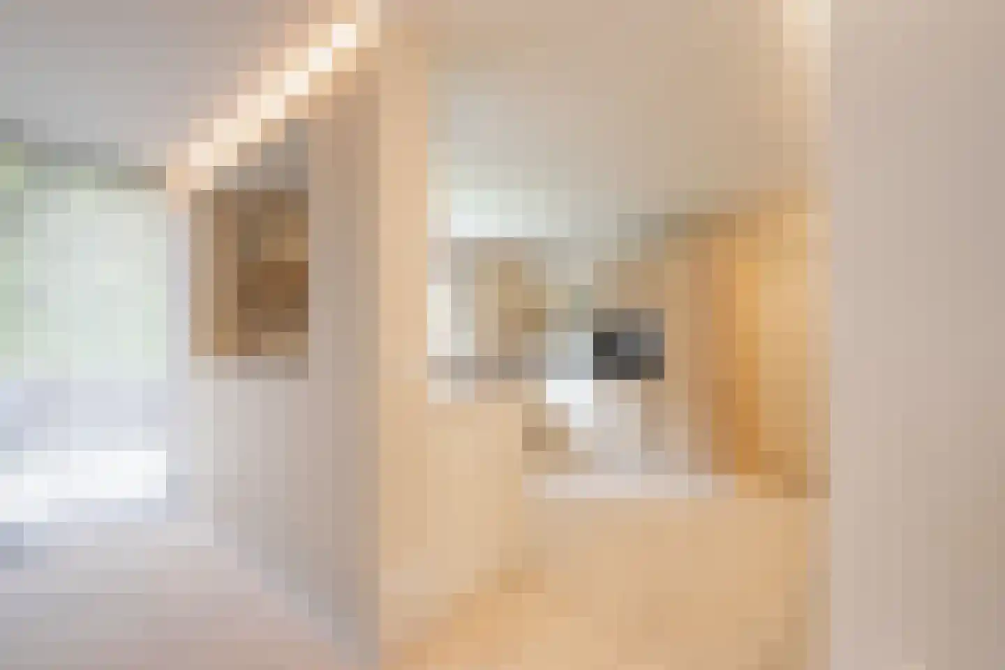 Frankenstraat 11 Stein thumbnail 14