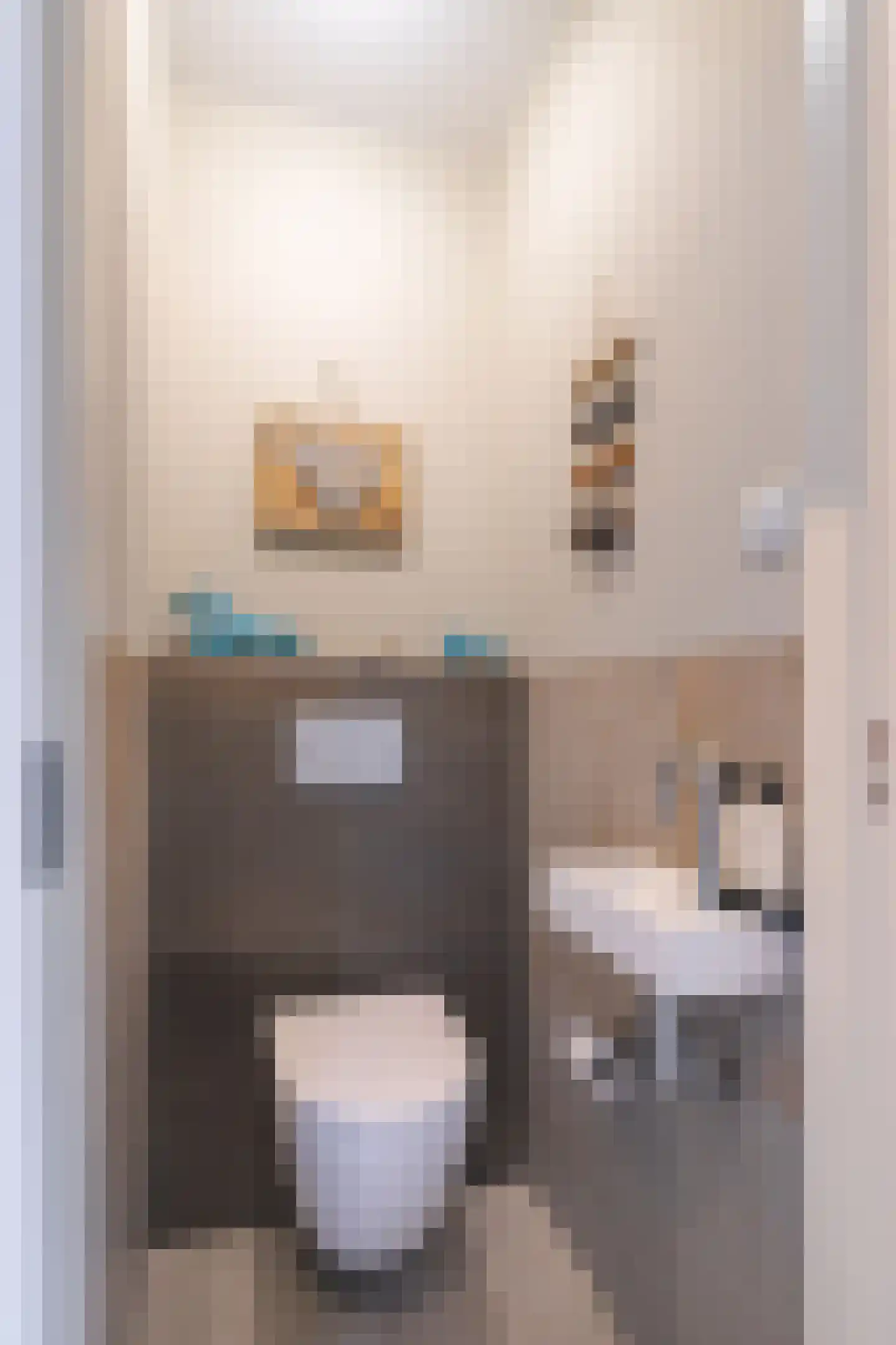 Frankenstraat 11 Stein thumbnail 21