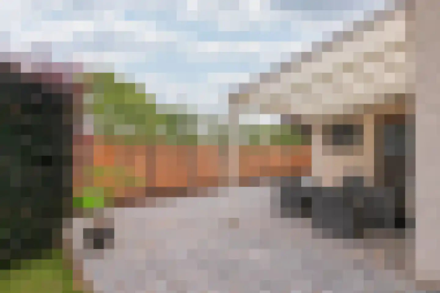 Frankenstraat 11 Stein thumbnail 34