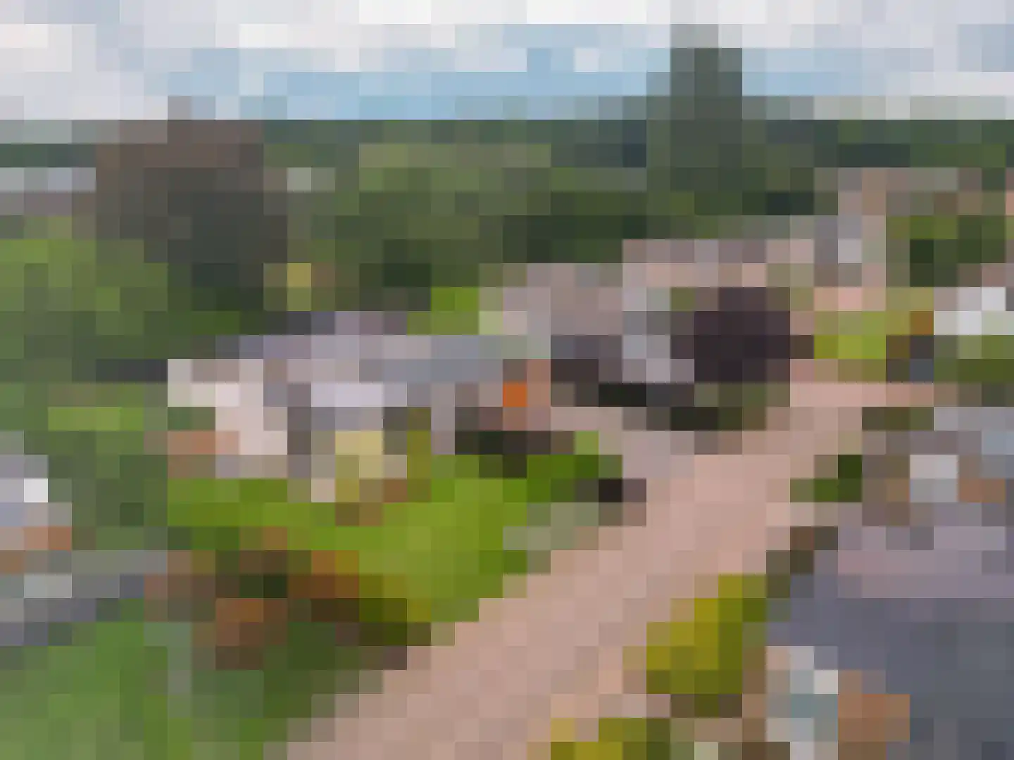 Frankenstraat 11 Stein thumbnail 38