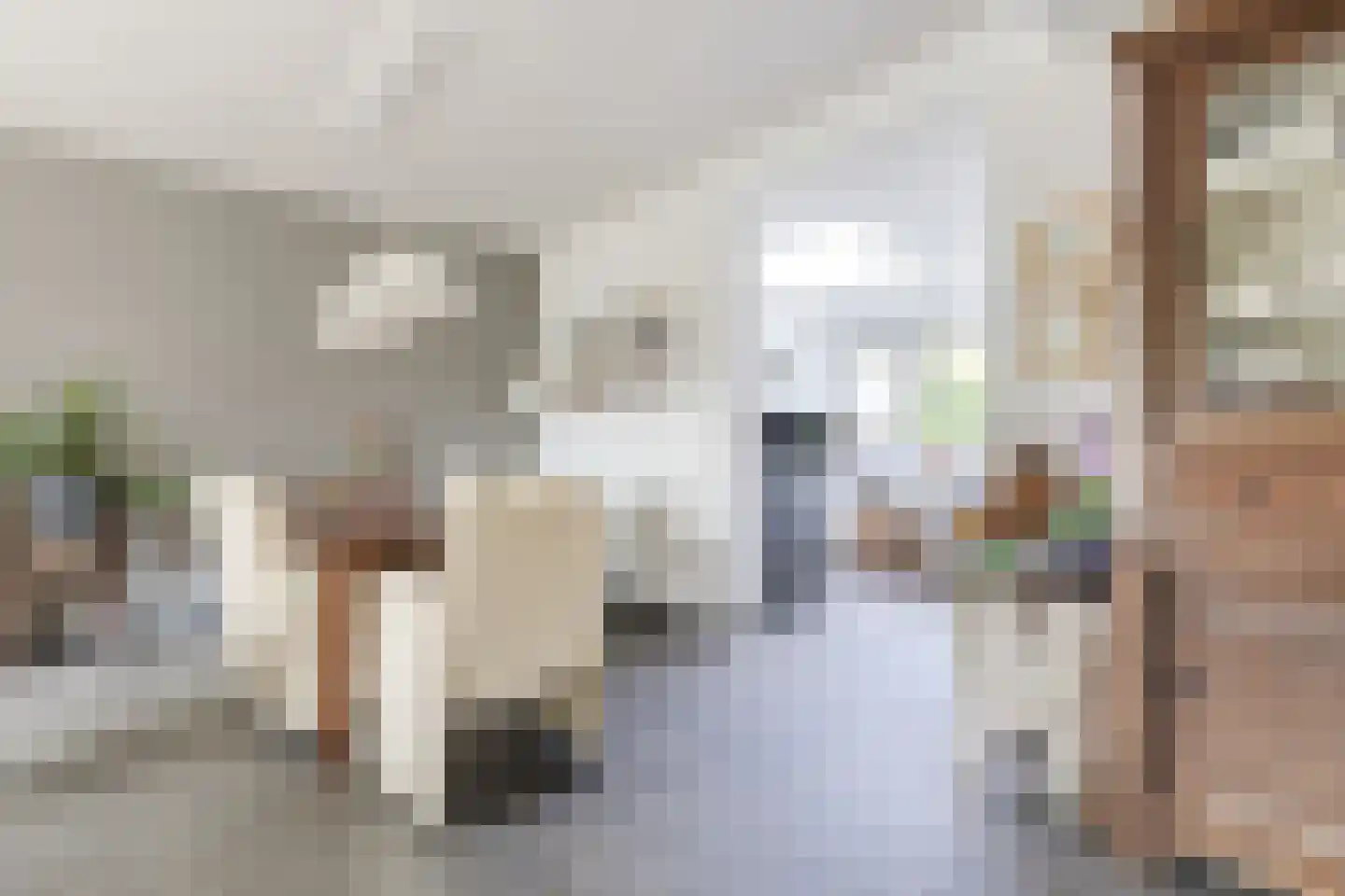 Frankenstraat 12 Eersel thumbnail 10