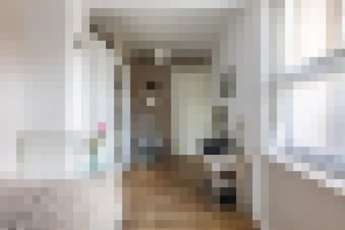 Frankenstraat 12 Eersel thumbnail 20