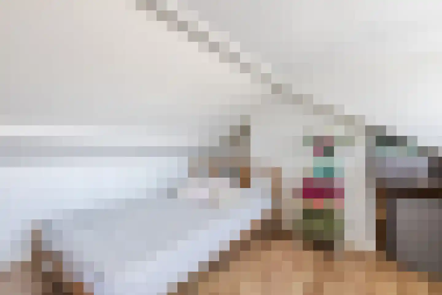 Frankenstraat 12 Eersel thumbnail 26