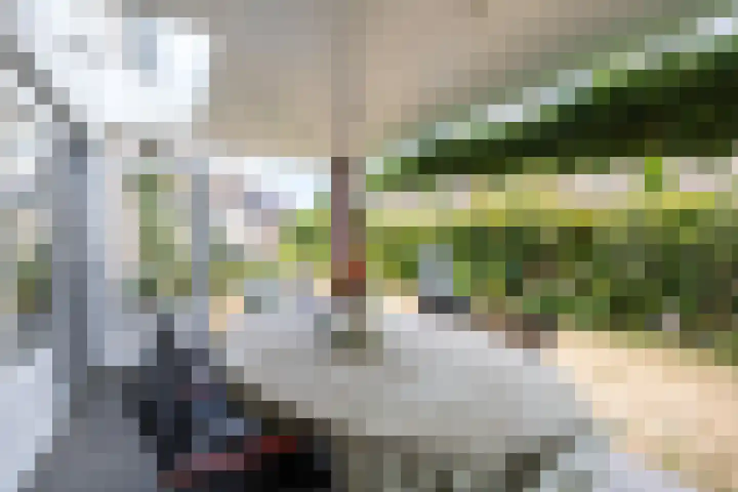 Frankenstraat 12 Eersel thumbnail 30