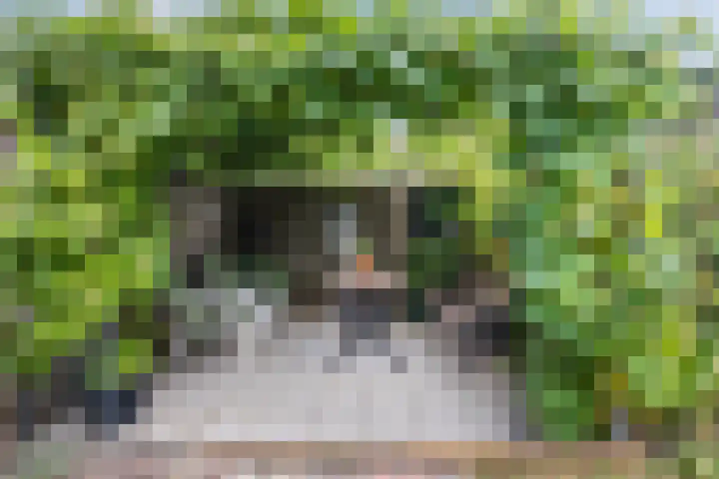 Frankenstraat 12 Eersel thumbnail 37