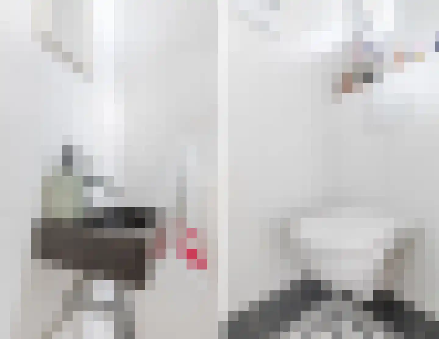 Frankenstraat 12 Eersel thumbnail 6