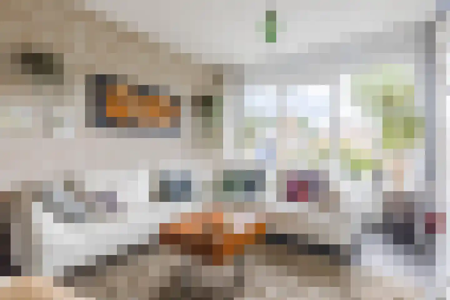 Frankenstraat 12 Eersel thumbnail 8