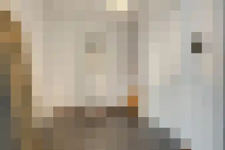 Frankenstraat 14 Heumen thumbnail 19