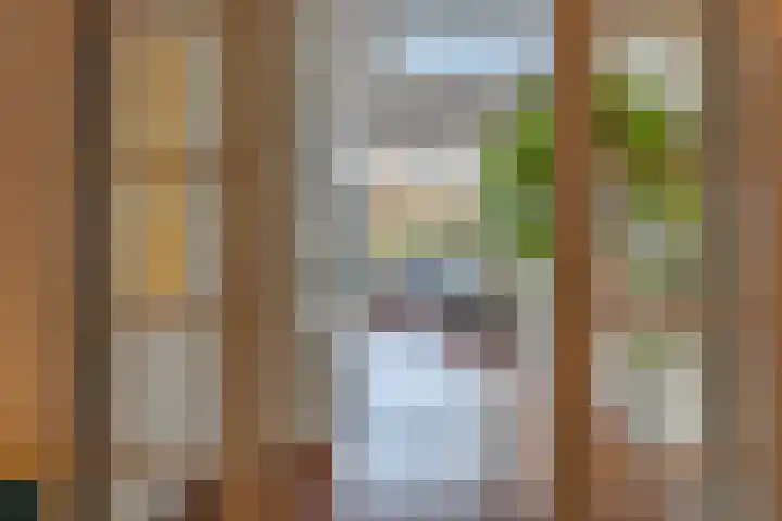 Frankenstraat 154 Maastricht thumbnail 9