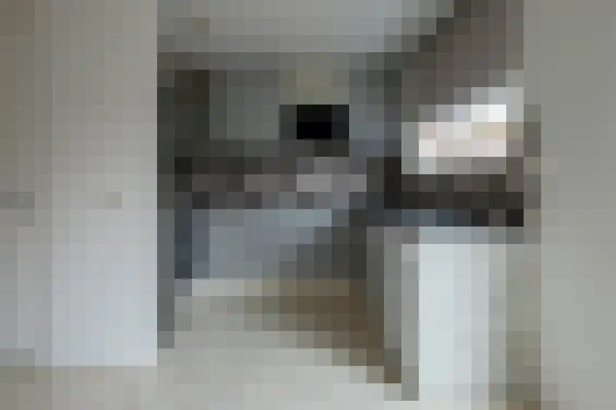 Frankenstraat 16 Amsterdam thumbnail 6