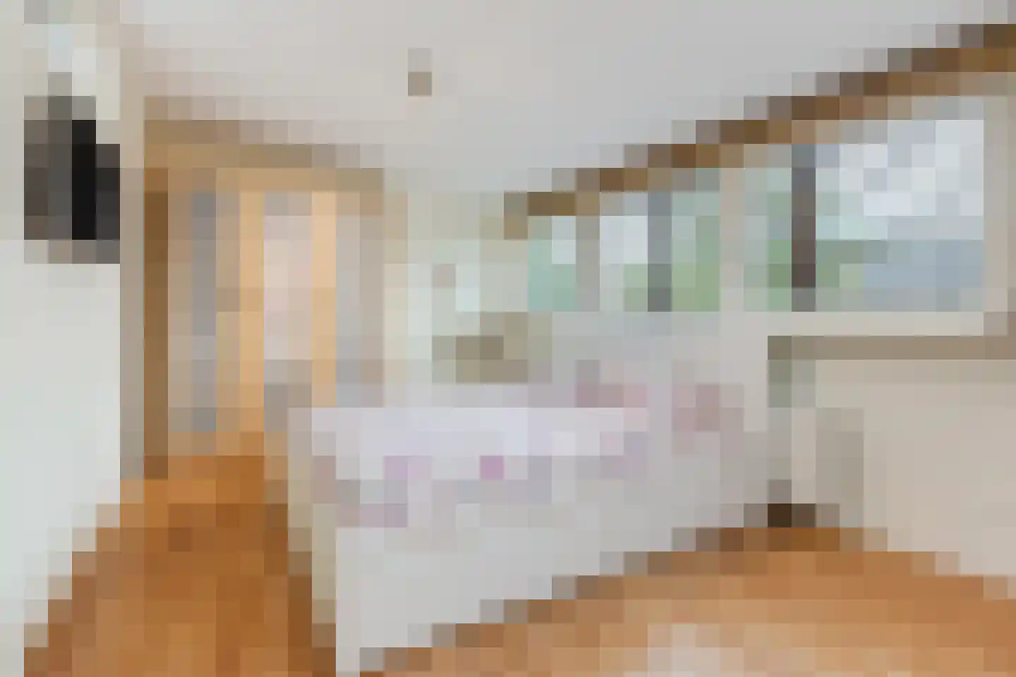 Frankenstraat 20 Amsterdam thumbnail 38