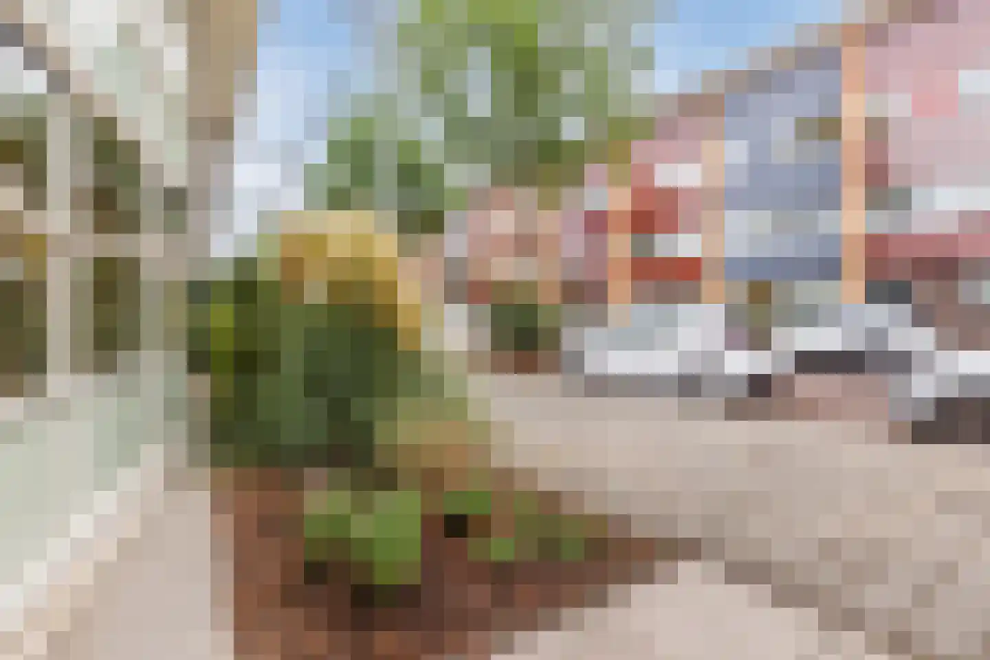 Frankenstraat 20 Amsterdam thumbnail 8