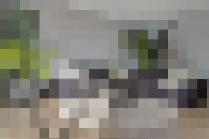 Frankenstraat 20 Heumen thumbnail 10