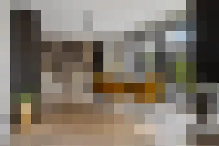 Frankenstraat 20 Heumen thumbnail 14