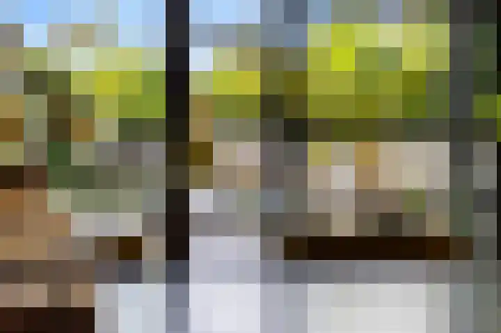 Frankenstraat 20 Heumen thumbnail 16