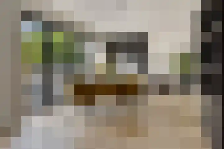 Frankenstraat 20 Heumen thumbnail 17