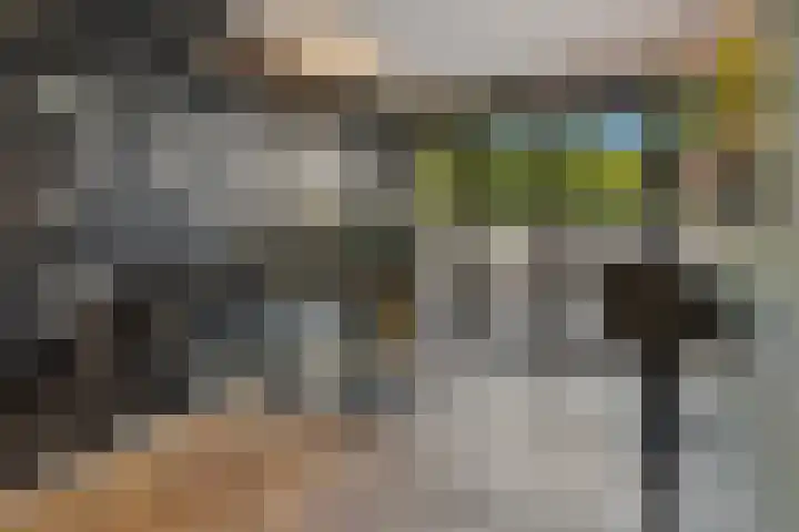 Frankenstraat 20 Heumen thumbnail 26