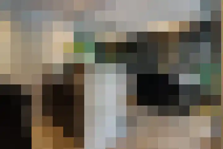 Frankenstraat 20 Heumen thumbnail 29
