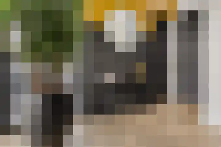 Frankenstraat 20 Heumen thumbnail 32