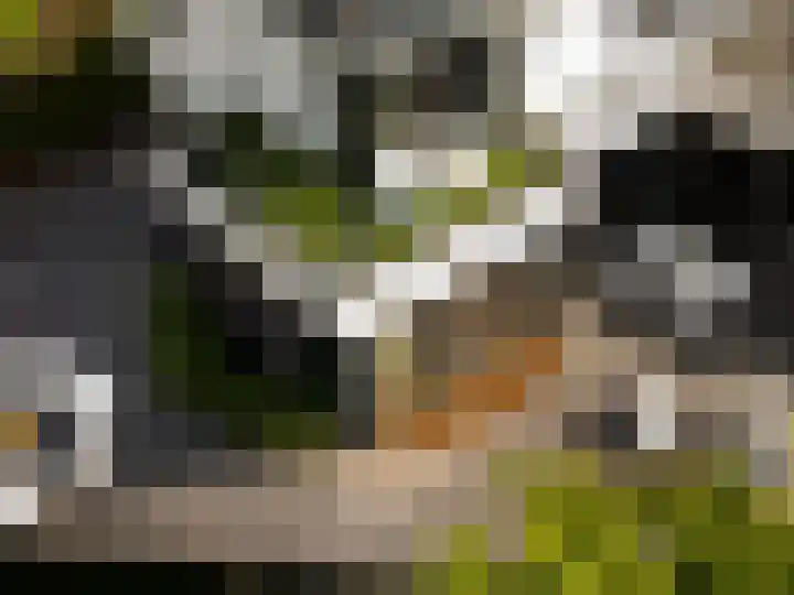 Frankenstraat 20 Heumen thumbnail 58