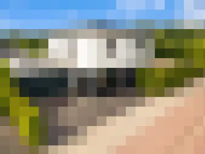 Frankenstraat 20 Heumen thumbnail 6