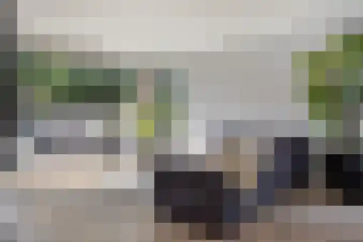 Frankenstraat 20 Heumen thumbnail 7