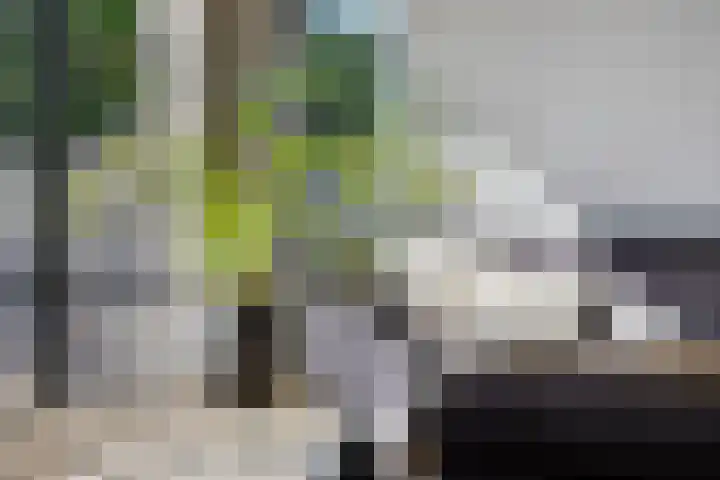 Frankenstraat 20 Heumen thumbnail 8