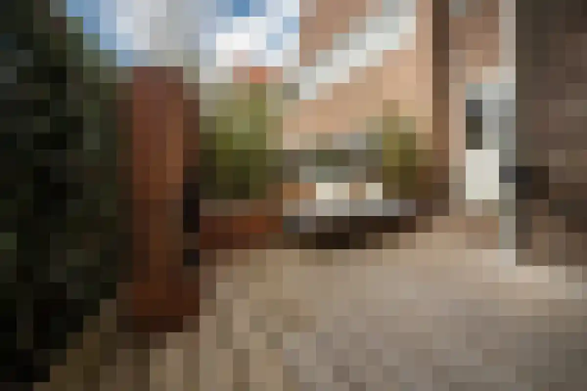 Frankenstraat 23 Den Haag thumbnail 52