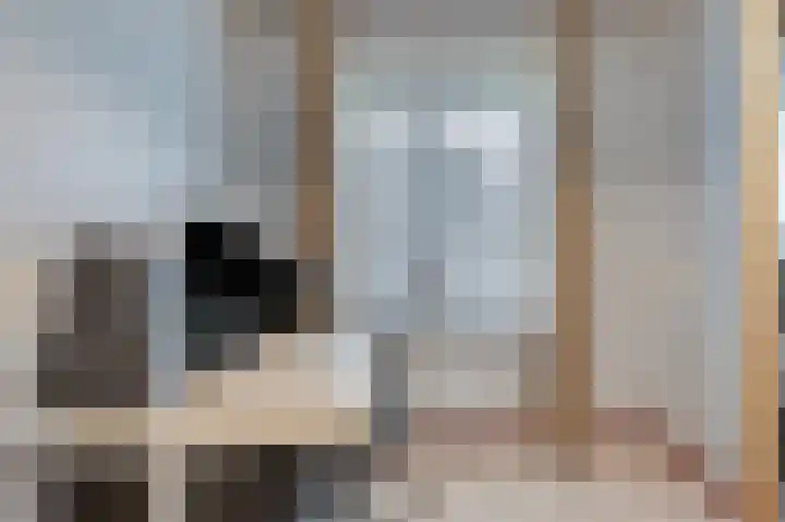 Frankenstraat 26 Huissen thumbnail 23
