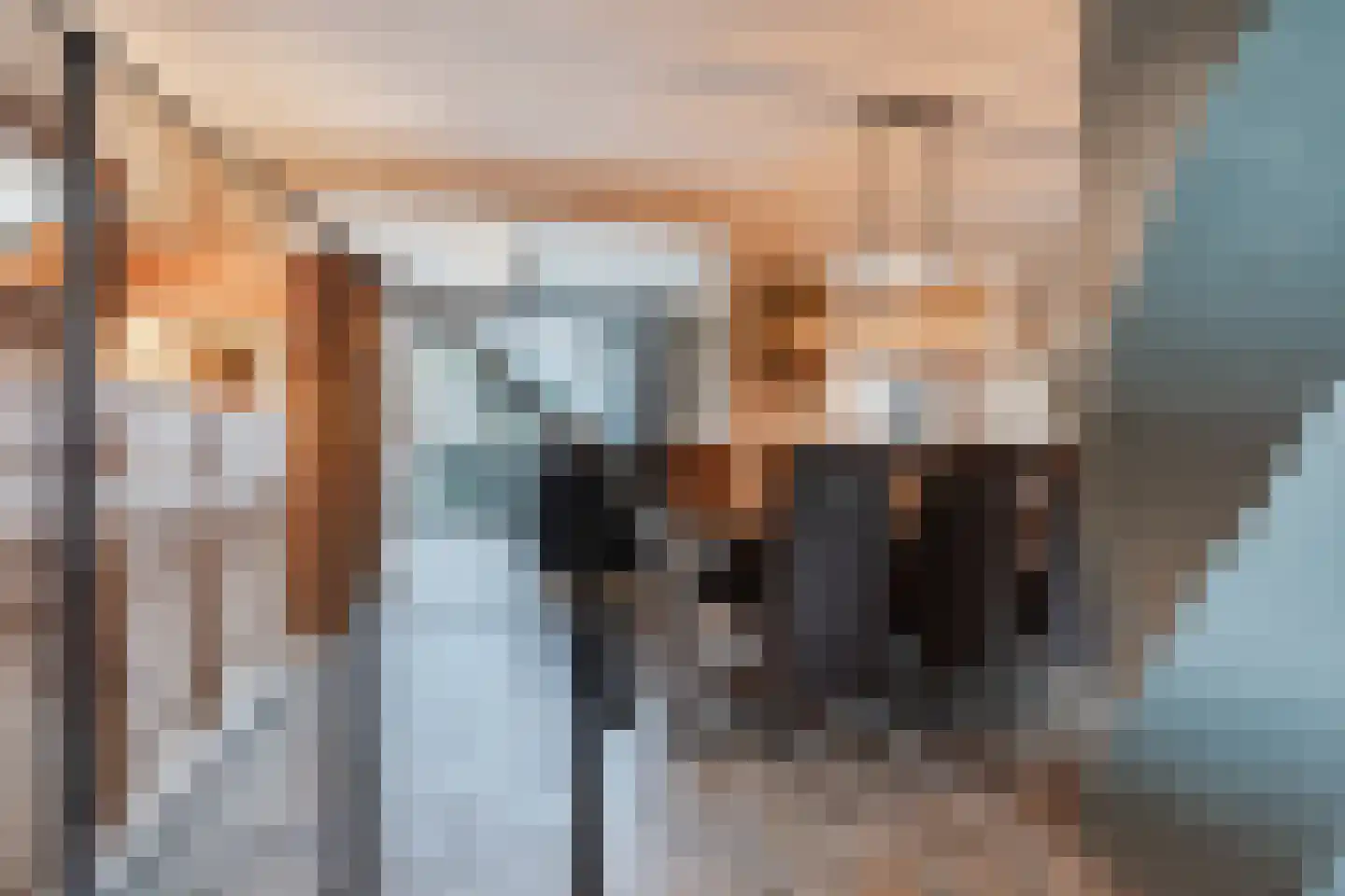 Frankenstraat 3 Eersel thumbnail 11