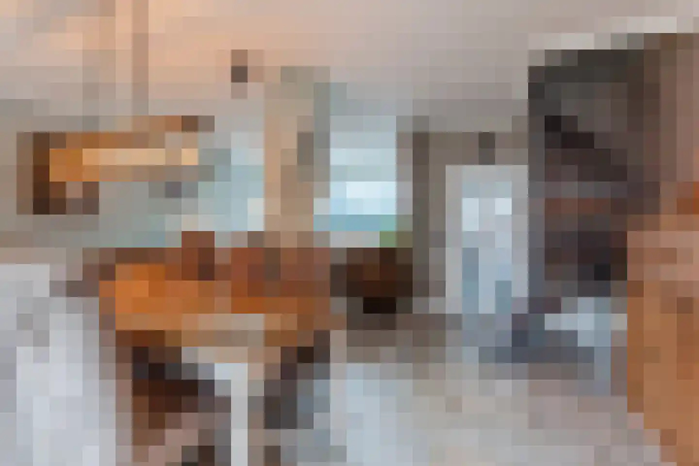 Frankenstraat 3 Eersel thumbnail 13