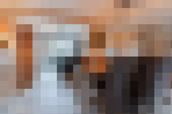 Frankenstraat 3 Eersel thumbnail 14