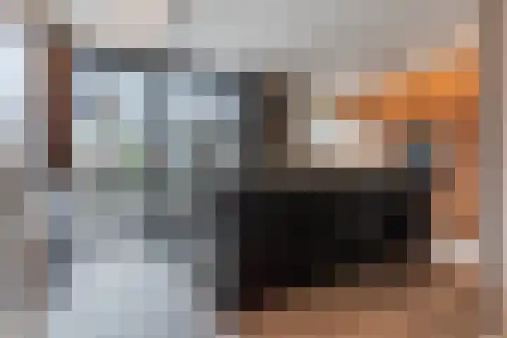 Frankenstraat 3 Eersel thumbnail 16