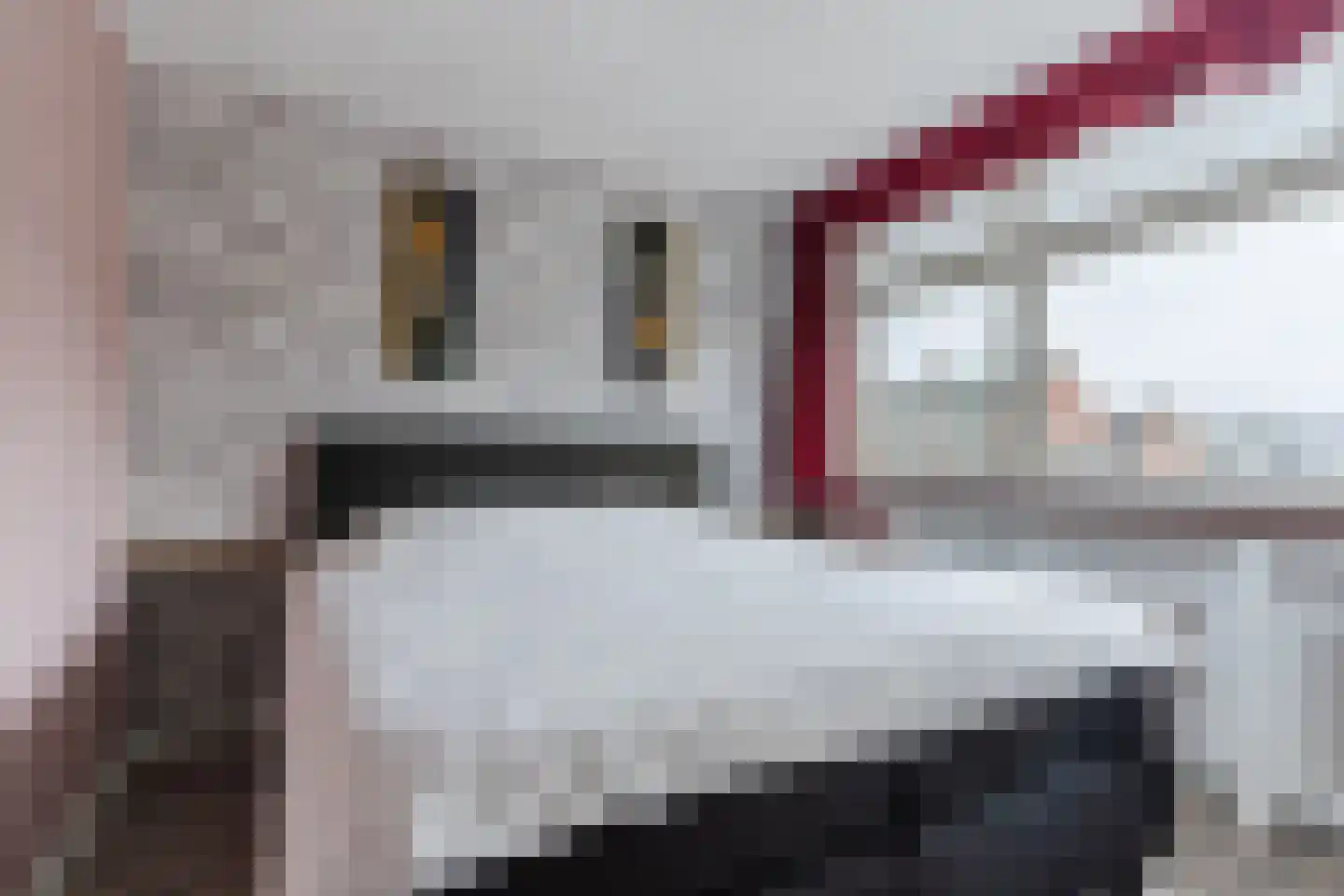 Frankenstraat 3 Eersel thumbnail 19