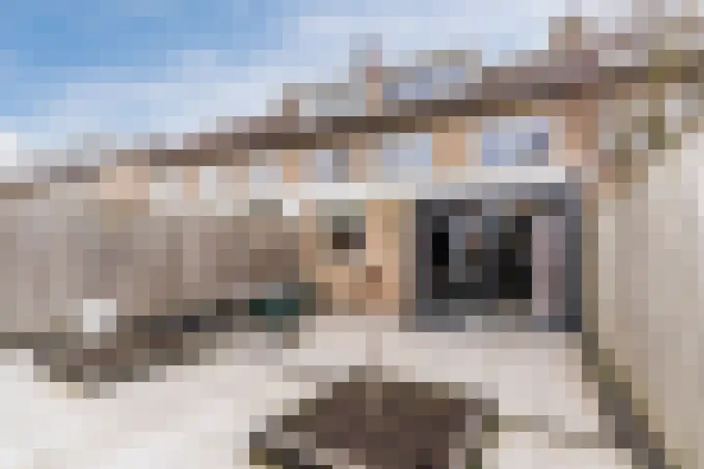 Frankenstraat 3 Eersel thumbnail 35