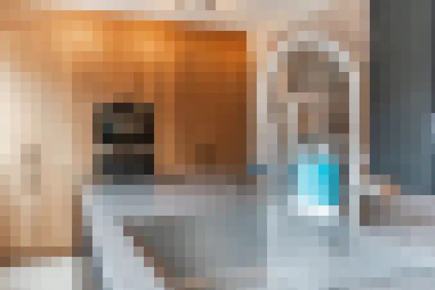 Frankenstraat 3 Eersel thumbnail 4
