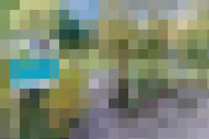 Frankenstraat 3 Eersel thumbnail 47