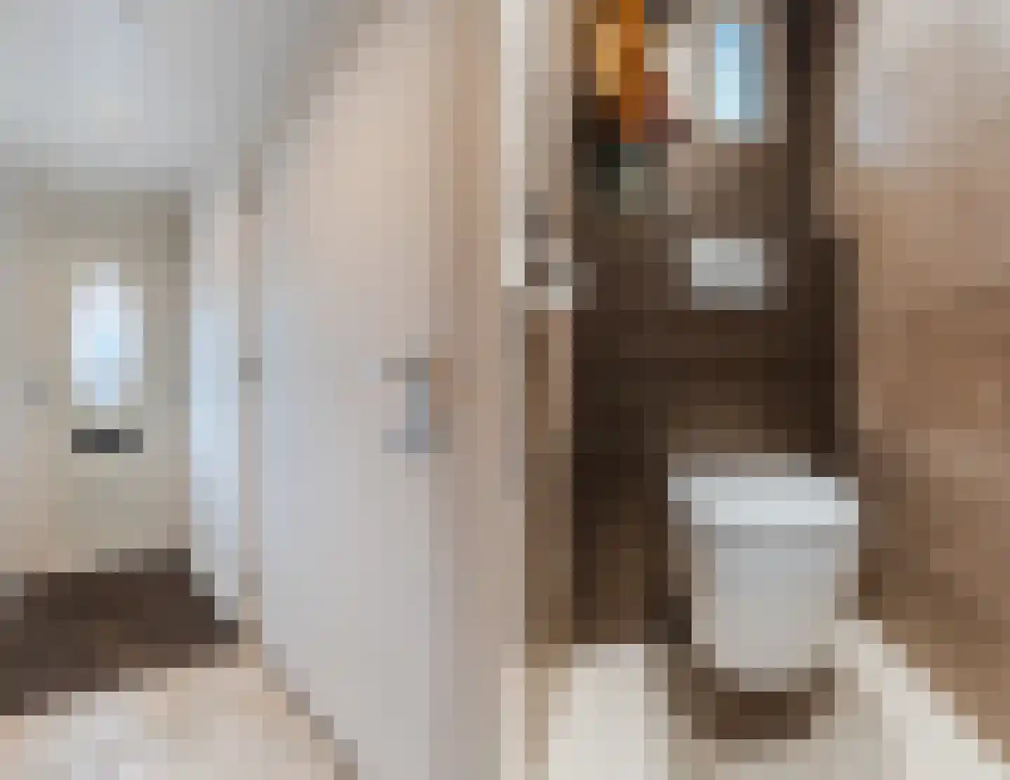 Frankenstraat 3 Eersel thumbnail 7