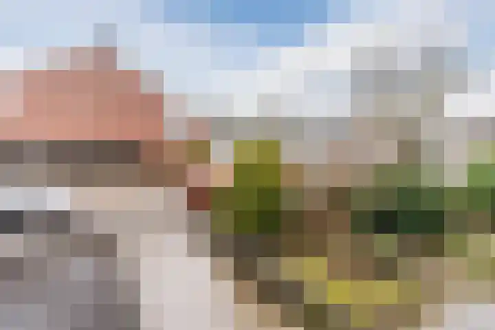 Frankenstraat 3 Eersel thumbnail 8