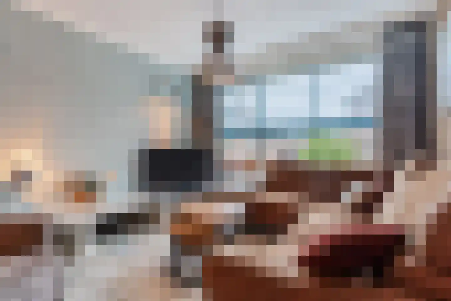 Frankenstraat 3 Eersel thumbnail 8
