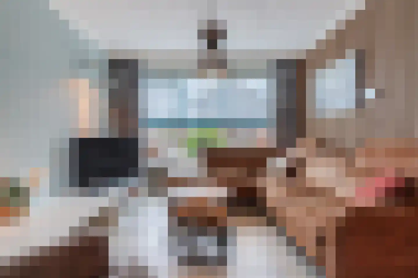 Frankenstraat 3 Eersel thumbnail 9