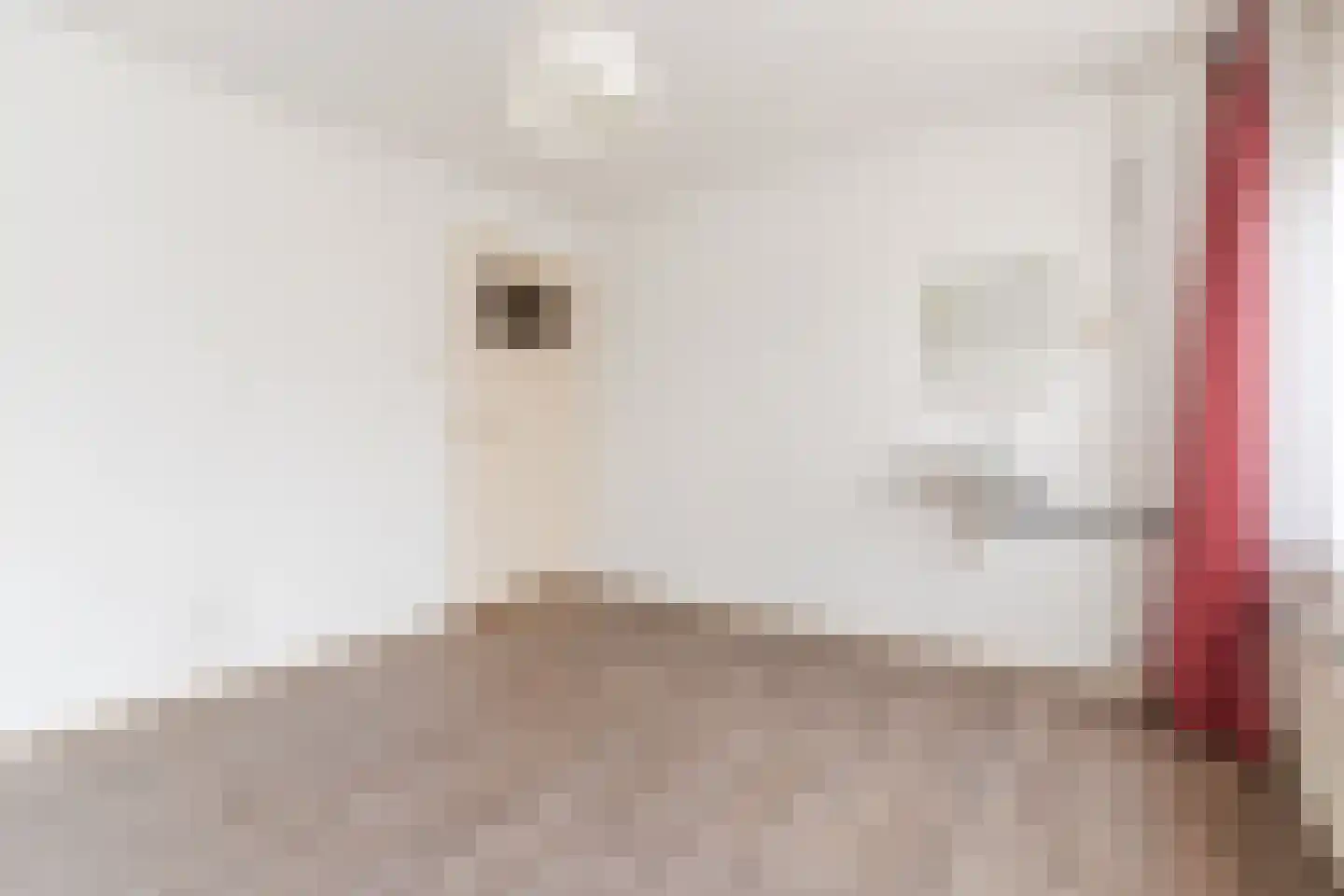 Frankenstraat 33 Eersel thumbnail 15