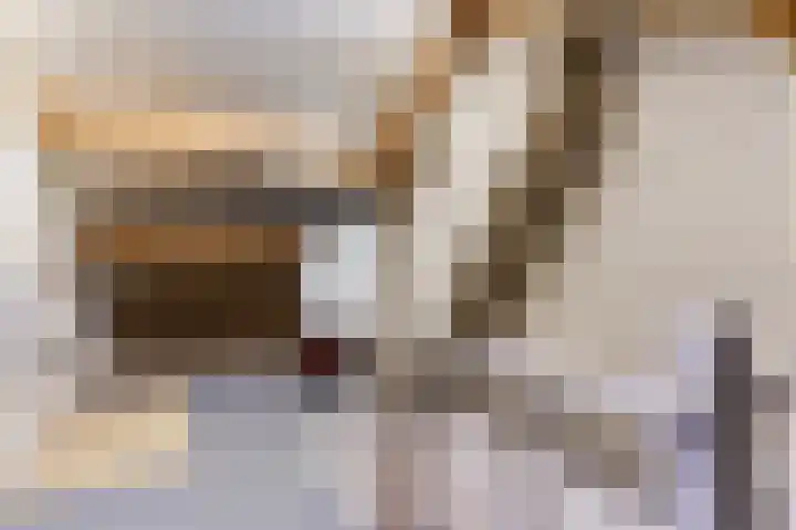 Frankenstraat 33 Eersel thumbnail 22