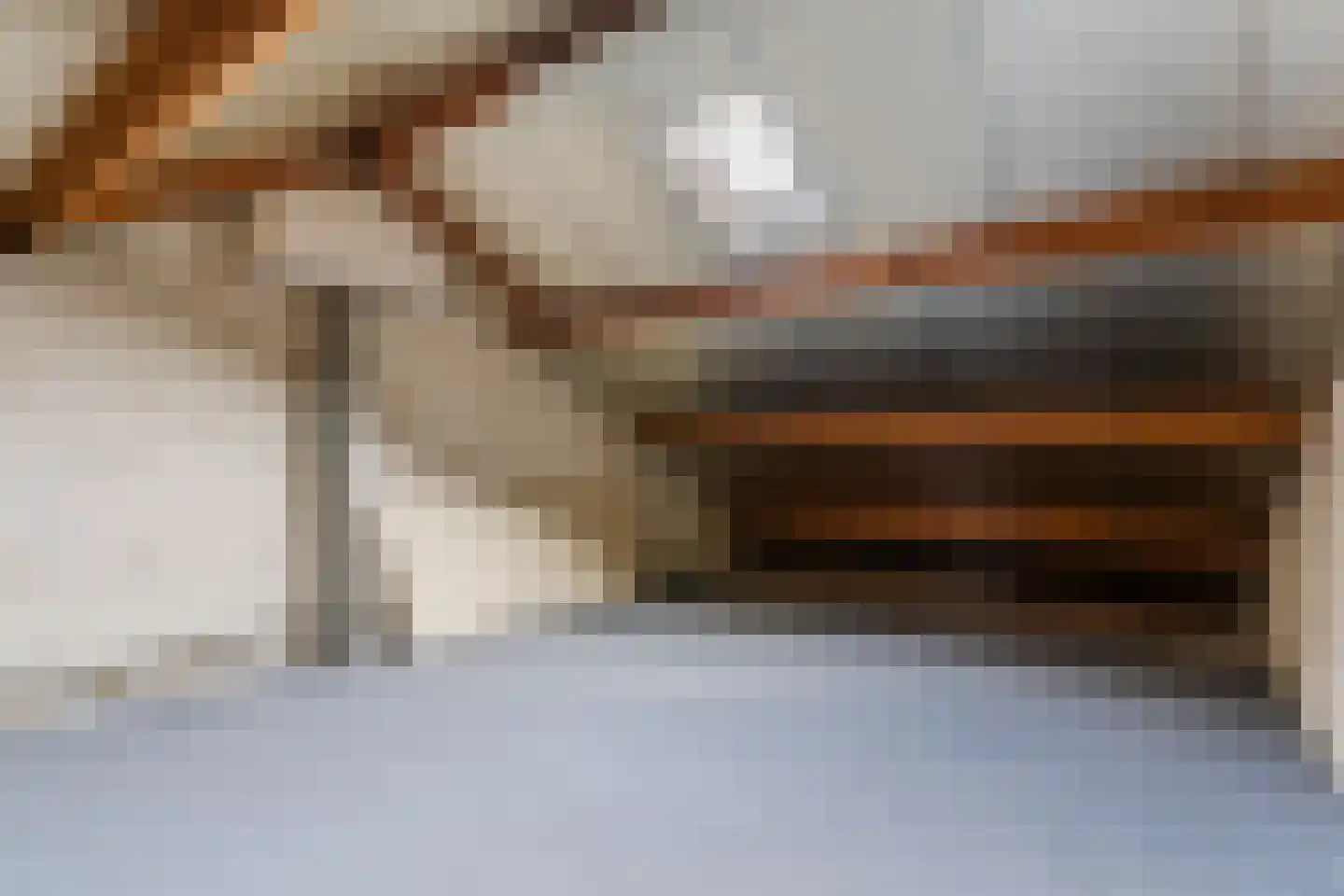 Frankenstraat 33 Eersel thumbnail 23