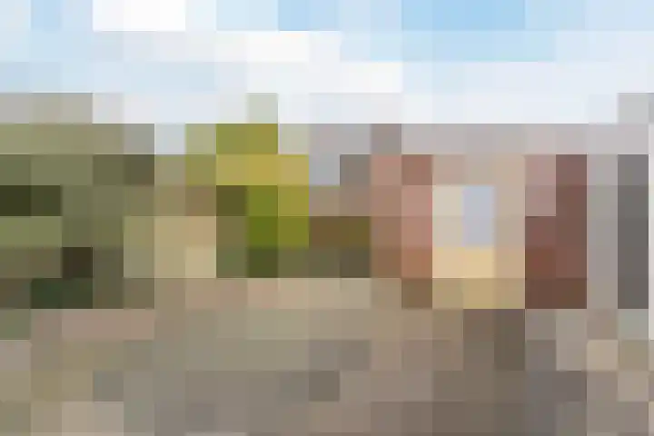 Frankenstraat 33 Eersel thumbnail 25