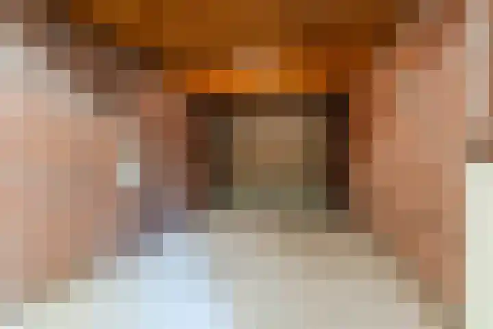 Frankenstraat 33 Eersel thumbnail 29