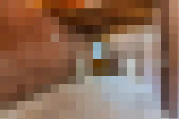 Frankenstraat 33 Eersel thumbnail 30